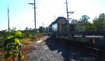 On The Amboy Secondary